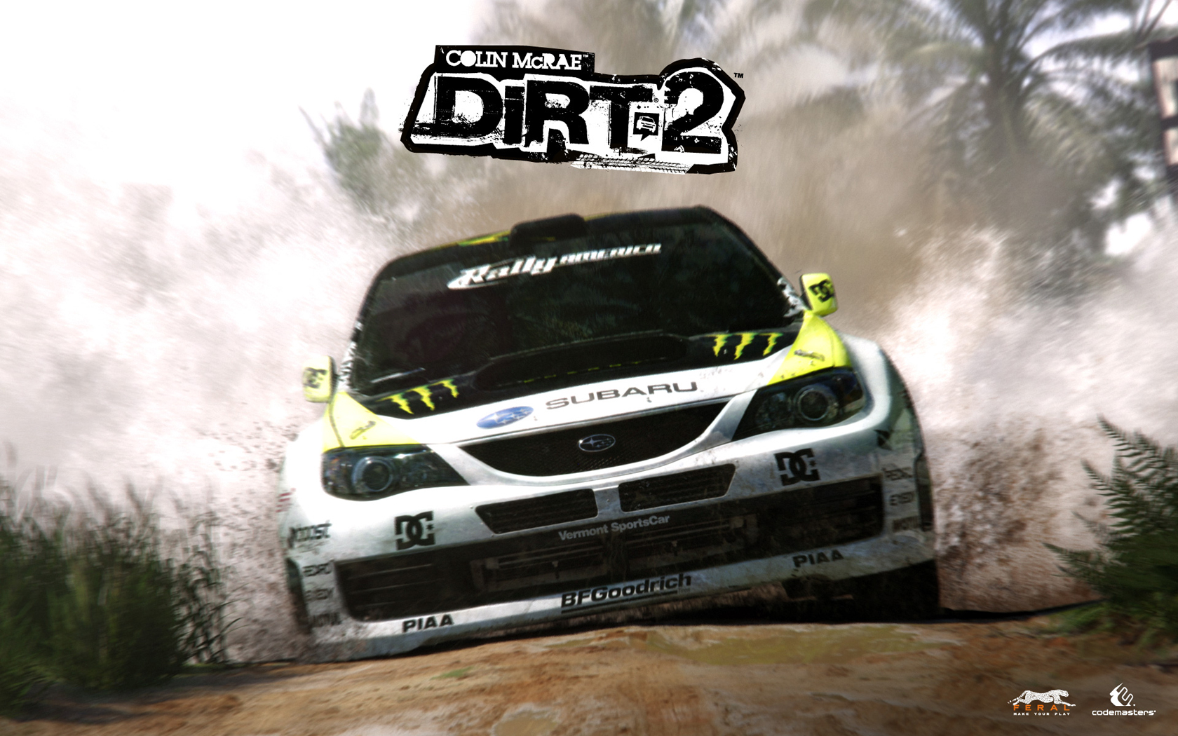 Dirt 2 ford rs2000 #6