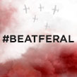 Гепарды дают отпор — грядут 2 новых состязания #BeatFeral Company of Heroes 